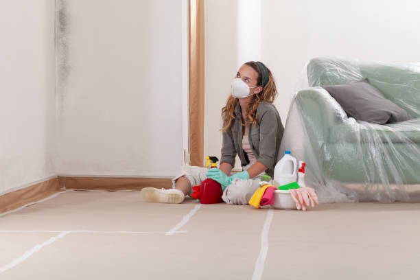 Reliable Basement Mold Remediation contractor in Thornton, PA by Mold Remediation HQ